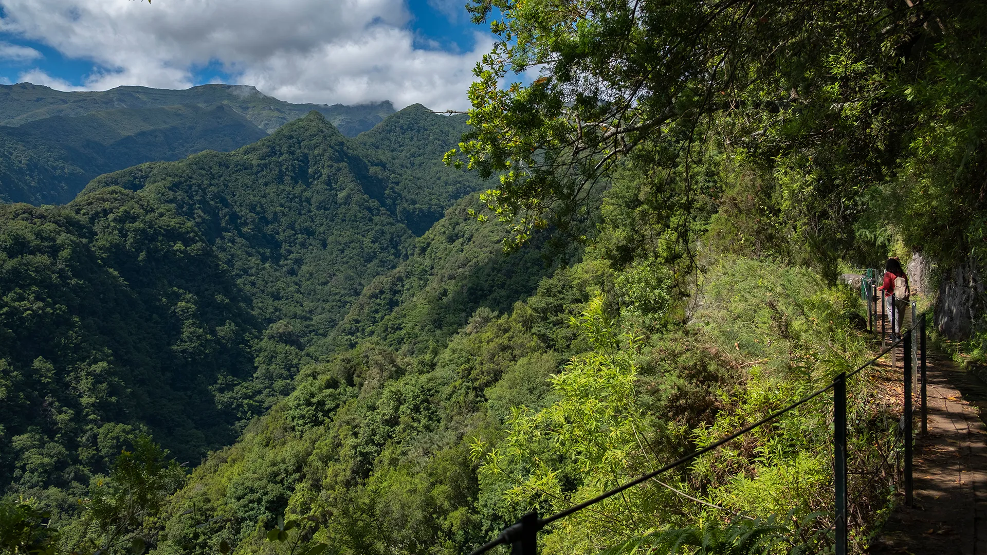 Levada do Rei